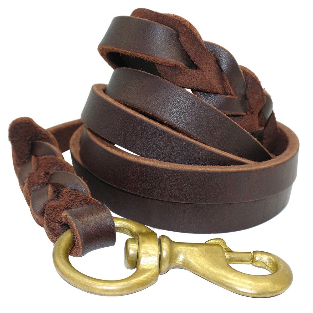 TitanLeash Pro