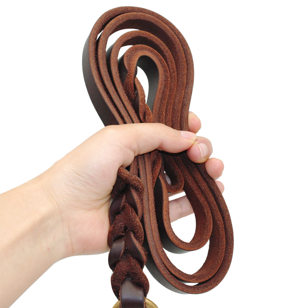 TitanLeash Pro