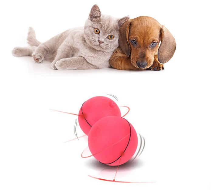 CatchiBall