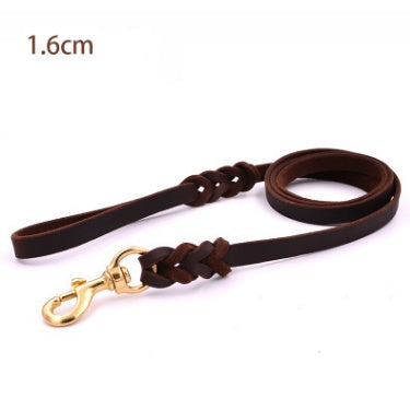 TitanLeash Pro
