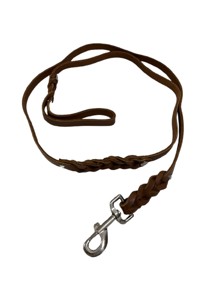 Leather Leash