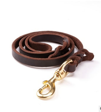 TitanLeash Pro