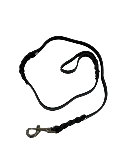 Leather Leash