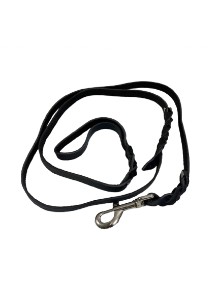 Leather Leash